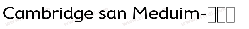 Cambridge san Meduim字体转换